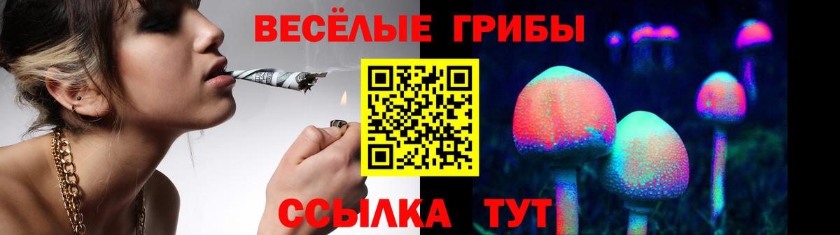 Галлюциногенные грибы GOLDEN TEACHER  Вход с VPN  Железногорск 